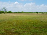 property listing