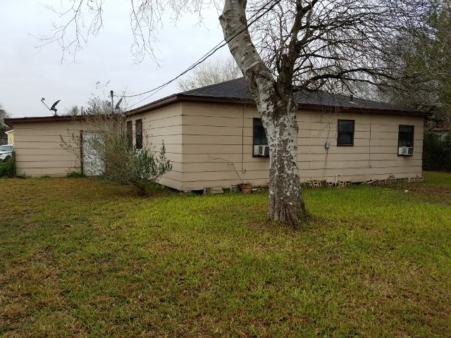 back yard