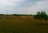 property listing